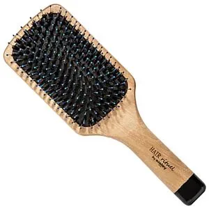 HAIR RITUEL by SISLEY La Brosse