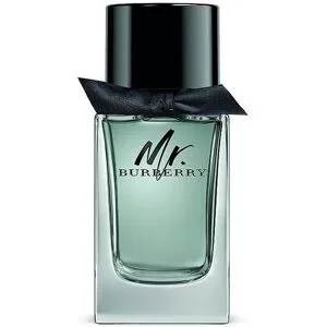 BURBERRY Mr. Burberry Eau de Toilette 100ml Herren