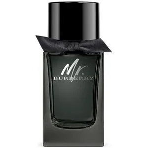 BURBERRY Mr. Burberry Eau de Parfum 100ml Herren
