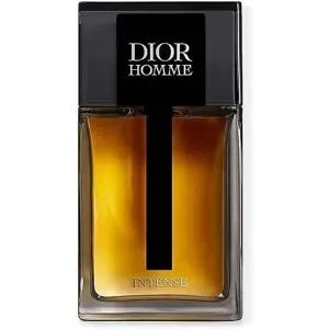 Christian Dior Homme Intense Eau de Parfum 100ml herren