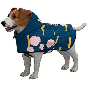 RAINKISS Hunde Regenponcho blau   M Damen
