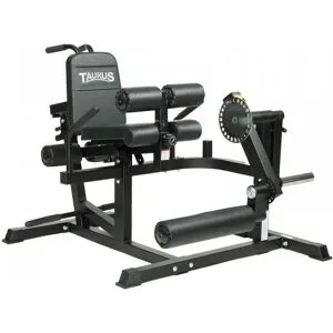 Taurus 4-in-1 Multitrainer