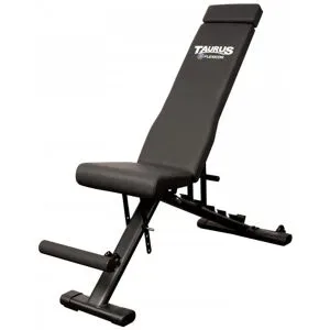 Taurus Flexicon Trainingsbank