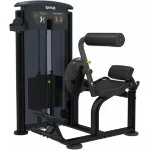 Taurus Back Extension IT95
