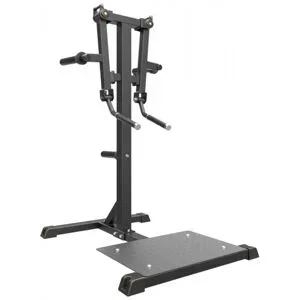 Taurus Seithebemaschine IFP   Standing Lateral Raise