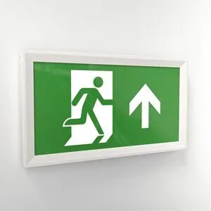 HOFTRONIC Macer - LED-Notleuchte mit Batterie - Aufbaumontage - IP20 für den Innenbereich - 3,5 W 100 Lumen - 3 Stunden Notstrombatterie - Inkl. Symbol für die Fluchtwegsignalisierung - Autotestfunktion