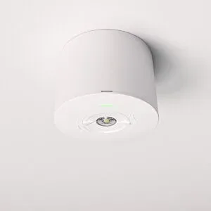 HOFTRONIC Locus - Aufbaustrahler Notbeleuchtung Spot weiß - 2 Watt 300 Lumen - 6000K tageslichtweiß - IP20 staubdicht - Mit Autotestfunktion