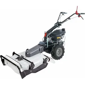 Eurosystems P55 - Benzin-Schlegelmulcher - Wiesenmulcher PRO - Hondamotor GCVX 170