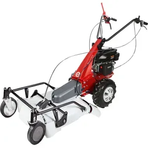 Eurosystems Minieffe RM - Benzin-Schlegelmulcher - Wiesenmulcher PRO V2 - Rato RV200