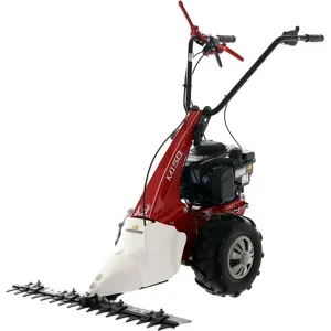 Eurosystems Minieffe M150 RM  Mehrzweckgerät Balkenmäher  B&S 625 EXi