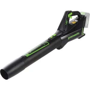 Greenworks GD48AB - Axial-Akku-Laubsauger - SOLO - OHNE AKKU UND LADEGERÄT