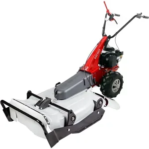 Eurosystems Minieffe M150 - Benzin-Schlegelmulcher - Wiesenmulcher PRO - B&S 625 EXi