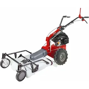 Eurosystems P55  Benzin-Schlegelmulcher - Wiesenmulcher PRO V2  RV200