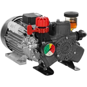 Annovi Reverberi AR 303 EM  Elektrische Motorpumpe zum Sprühen, einphasig