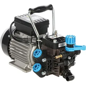 Bertolini Pumps STRIP DE71  Elektrische Motorpumpe zum Sprühen