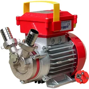 Rover Pompe Rover Novax 25 By-Pass  Elektrische Umfüllpumpe aus antioxidierender Legierung  230 V