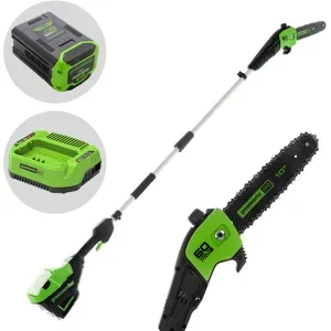 Greenworks GD60PS25 - Akku-Hochentaster 60V - Akku 4Ah