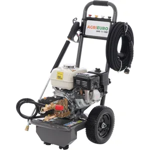AgriEuro Premium LWD 11/200  Professioneller Benzin-Hochdruckreiniger  205 bar, 678 l/h  Comet LWD Pumpe  Honda GX 200 Motor