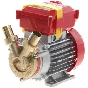 Rover Pompe Rover 25 CE  Elektropumpe zum Umfüllen aus Bronze  230 V