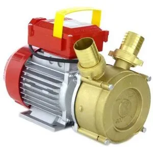 Rover Pompe Rover BE-M 40- Elektrische Umfüllpumpe aus Bronze - 230 V