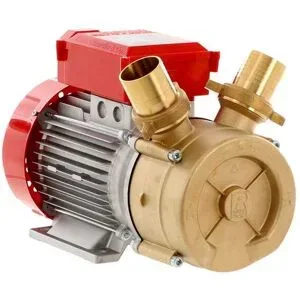 Rover Pompe Rover BE-M 50 - Elektropumpe  aus Bronze - 230V