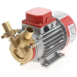 Rover Pompe Rover Marina 25 Elektrische Umfüllpumpe aus Bronze - 12V - nicht lebensmittelgeeignet