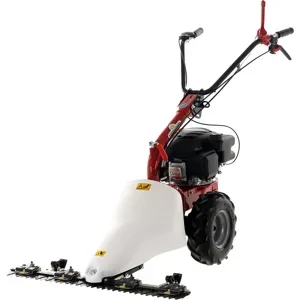 Eurosystems M210  Motormäher mit Doppelmessern  Loncin LC1P65FE