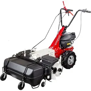 Benzin Kehrmaschine 88 cm mit Aufsammelbehälter Eurosystems Minieffe M150 RM GCVX 170