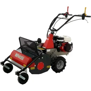 Benassi T 603 - Professioneller Schlegelmulcher mit Y-Messern - Hondamotor GX200