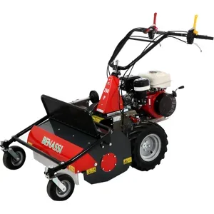 Benassi T750SP - Professioneller Schlegelmulcher mit Y-Messern  - Honda Motor GX270