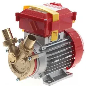 Rover Pompe Rover 25 Bypass, Elektrische Umfüllpumpe  aus Bronze - 230V