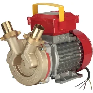 Rover Pompe Rover BE-T 25  Drei-Phasen-Elektropumpe zum Umfüllen aus Bronze  400 V