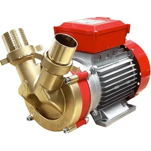 Rover Pompe Rover BE-T 50  Elektrische Bronze-Umfüllpumpe  Drehstrom  400 V