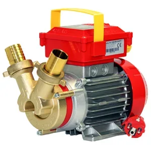 Rover Pompe Rover 35 CE  Elektrische Umfüllpumpe aus Bronze  230 V