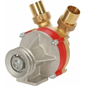 Rover Pompe Rover N 50 - Riemengetriebene Umfüllpumpe aus Bronze