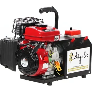 Agrieuro Premium Angelis - Tragbarer Stromerzeuger 12/22V