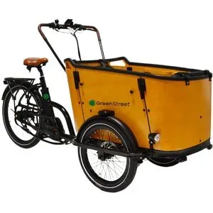 Alpha MOTORS Elektrolastenfahrrad Family-Cargo 250 W