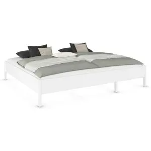 RAUCH ORANGE Mare Bett