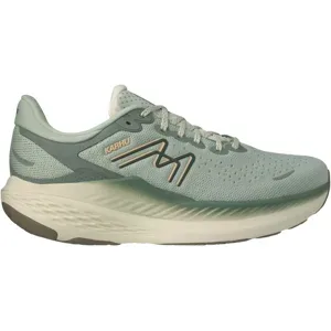 KARHU MESTARI RUN 1.5 Laufschuhe Damen SEA FOAM / EXCALIBUR B (normal) 38