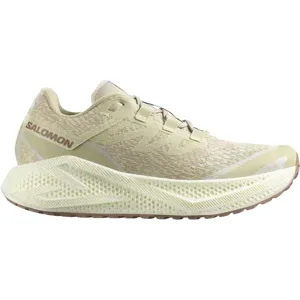 SALOMON AERO GLIDE 3 GRVL Gravel-Laufschuhe Herren Green Haze / Vanilla Ice / Russet 48