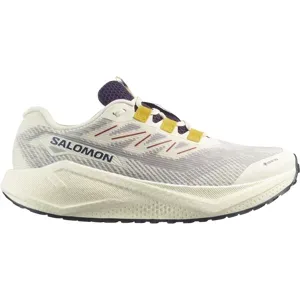 Salomon AERO BLAZE 3 GRVL GTX Gravel-Laufschuhe Herren Vanilla Ice/Astral Aura/Lemon 42