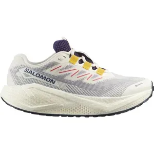 Salomon AERO BLAZE 3 GRVL GTX Gravel-Laufschuhe Damen Vanilla Ice/Astral Aura/Lemon 39 1/3