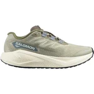 Salomon AERO BLAZE 3 GRVL Gravel-Laufschuhe Herren Tea/Vanilla Ice/Deep Lichen Green 46