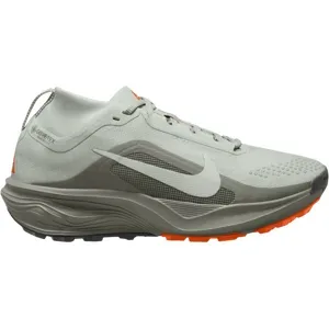Nike ACG PEGASUS TRAIL GTX Trailschuhe Damen Light Silver/Light Silver-Light Army 39