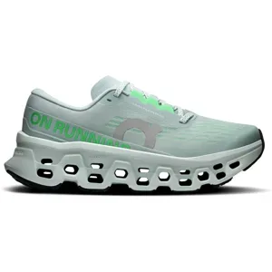 ON RUNNING On CLOUDMONSTER 3 Herren Brook   Flurry Gr. 47
