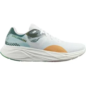 SALOMON AERO GLIDE Laufschuhe Herren Emerald / Crystal Blue / 39 1/3