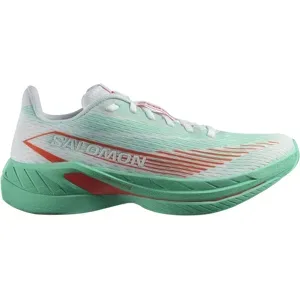 SALOMON SPECTUR 2 W Damen Grün 40