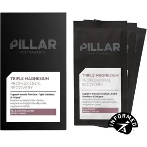 PILLAR PERFORMANCE TRAVELPACK Berry
