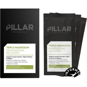PILLAR PERFORMANCE TRAVELPACK Pineapple Coconut