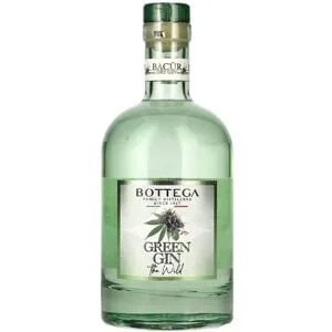 Bottega BACÛR The Wild Green Distilled Dry Gin 40% Vol. 0,7l